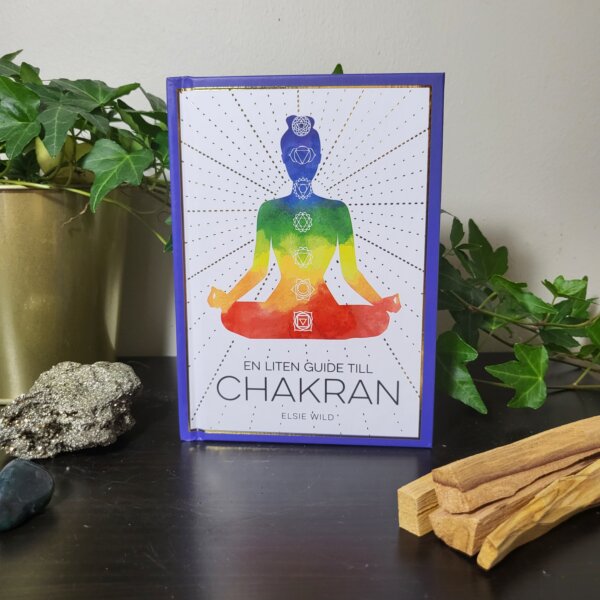 en-liten-guide-till-chakran